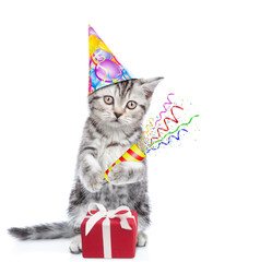 Aufkleber - Cute kitten wearing sunglasses and party cap holds exploding firecracker. Isolated on blue background
