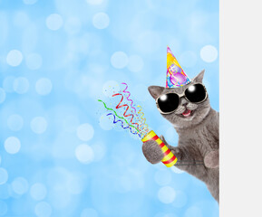 Aufkleber - Happy cat wearing party cap holds exploding firecracker and looks from behind empty white banner. festive blured background