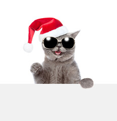 Aufkleber - Happy cat wearing red santa hat and sunglasses looks above empty white board. isolated on white background