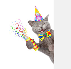Aufkleber - Happy cat wearing party cap and tie bow holds exploding firecracker and looks from behind empty white banner. Isolated on white background