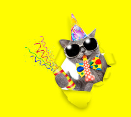 Aufkleber - Happy cat wearing sunglasses, tie bow and party cap looks through a hole in yellow paper, blows in party horn and holds exploding firecracker
