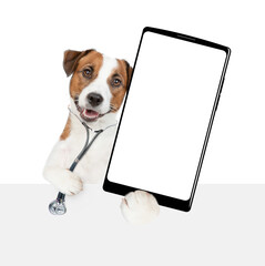 Aufkleber - Smart jack russell terrier with stethoscope on his neck showing big smartphone with white blank screen in it paw above empty banner. isolated on white background