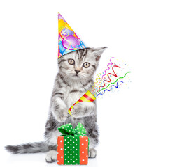 Aufkleber - Cute cat wearing sunglasses and party cap holds exploding firecracker. Isolated on blue background