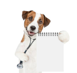 Sticker - Funny jack russell terrier wearing like a doctor with stethoscope on his neck shows empty notebook. isolated on white background