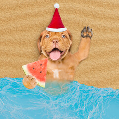 Poster - Happy Mastiff puppy wearing sunglasses and red santa hat lying on sandy tropical beach at ocean and holds slice of watermelon. Top down view