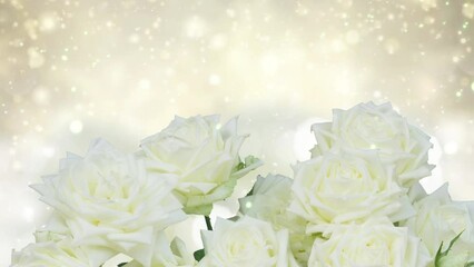 Canvas Print - White roses on bright bokeh background with sunlight,