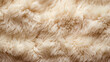 The rough texture of the wool with an uneven and fluffy coating