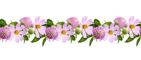Wall Mural - pink clovers and cosmos flowers in a seamless floral line arrangement isolated on white or transpare