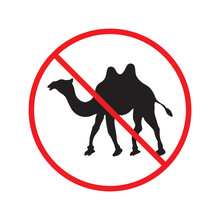 Forbidden Prohibited Warning, Caution, Attention, Restriction Label Danger. No Camel Vector Icon. Do Not Use Camel Sign Design. No 
Arabian Bedouin Symbol Flat Pictogram. 