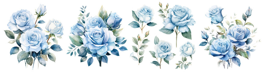 Wall Mural - Set of beautiful blue rose flower ,Watercolor collection of hand drawn flowers , Botanical plant illustration Decor cut out transparent isolated on white background ,PNG file ,artwork graphic design.