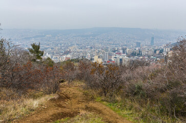 Wall Mural - scenic view of Tbilisi and forest on Mtatsminda mountain from Turtle Lake trail