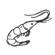 Shrimp doodle symbol. Shrimp logo design. Sea food logo.