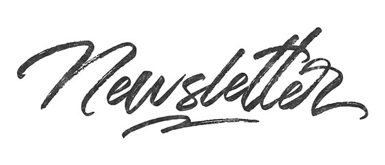 Poster - Word Newsletter written in brush script font with marker ink effect isolated on transparent background