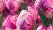 Ramo de Romance: Flores en Primavera. Tulipanes y Rosas: Belleza de Primavera. Flores en Plenitud: Romance y Color
