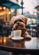 Cute smiling dog drinking its morning coffee outdoor at cafe reception area on blurred street backgrounds with copy space, concept of morning coffee, funny animal portrait, well being lifestyle.