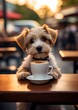 Cute smiling dog drinking its morning coffee outdoor at cafe reception area on blurred street backgrounds with copy space, concept of morning coffee, funny animal portrait, well being lifestyle.