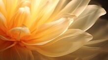 Banner For Website With Closeup View Of Yellow Layers Of Flower Petals. Soft Pastel Beautiful Wedding Background With Copy Space.