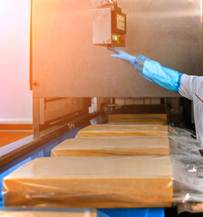 Wall Mural - Two workers start making blocks of cheese in a factory.