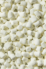 Canvas Print - Dry White Organic Mini Marshmallows