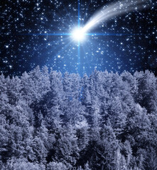 Wall Mural - star of jesus. background of the beautiful dark blue sky and bright star. night forest on christmas 