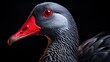 A close up of a bird with red eyes and black background, AI