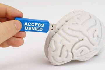 Aufkleber - A man inserts a flash drive into his brain with the inscription - access denied