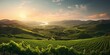 A picturesque landscape with a vineyard and mountains in the background Generative AI