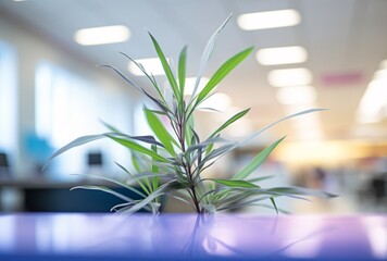 Wall Mural - A green plant in a blue vase on a desk Generative AI