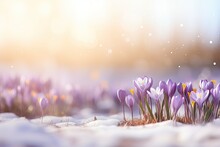 Spring Flowers In The Snow
