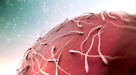 Egg and sperm magnification under the microscope. Close-up view of sperm trying to fertilize an egg. 3d rendering
