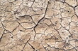 cracked soil background in the dry season Lack of water and food