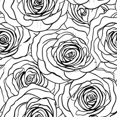 Wall Mural - Rose flower drawing seamless pattern