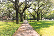 A tree lined sidewalk in Savannah Georgia
