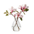 Beautiful pink magnolia flower in transparent glass vase standing isolated on transparent background Generative AI	
