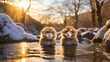 Tranquil Scenes of Snow Monkeys in the Japanese Alps, Soaking in Hot Springs amidst Snowy Landscapes, Embracing Nature's Harmony in the Winter