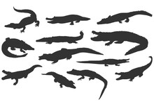 Set Of Crocodile Silhouette, Reptile, Alligator, Predator