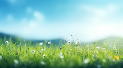 Poster - Grass and blue sky. Blurred spring background