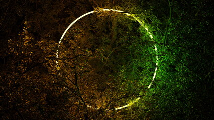 Fototapete - Luminous circle ring in foliage of tree branches on black background. Neon glow illumination, place for text. 3d render