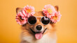 A cute dog with a flower crown and sunglasses is a reminder that even the smallest things can bring joy. ai generated.