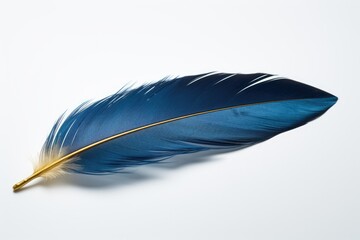 Poster - A single blue feather resting on a clean white surface. Perfect for adding a touch of elegance to any design