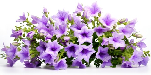 Aufkleber - A beautiful bunch of purple flowers displayed on a clean white surface. This image can be used for various purposes