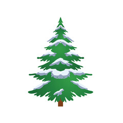 christmas tree isolated illustration. fir tree in snow isolated vector illustration