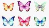 Fototapeta Motyle - A set of six colorful butterflies on a white background. Perfect for nature-themed designs and decorations