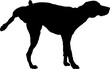 Dog is peeing Dog silhouette Breeds Bundle Dogs on the move. Dogs in different poses.
The dog jumps, the dog runs. The dog is sitting. The dog is lying down. The dog is playing