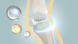 
Orthopedic and bone treatment services Add collagen to knee joints 3d Rendering