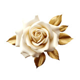 Fototapeta Tulipany - Gold rose flower isolated on transparent background