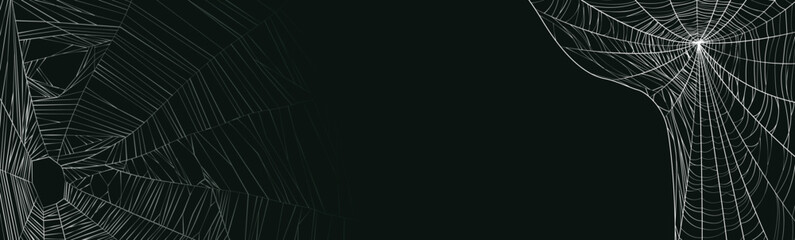 Wall Mural -  spider web background design. Vector background design with set of spider web
