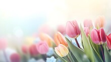 Bouquet Of Multicolored Tulips On A Beautiful Blurred Background, Copy Space.