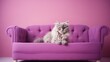 Regal Cat Perched Gracefully On A Lavender And Crimson Sofa Background