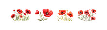 Watercolor Red Poppy Set. Vector Illustration Design.